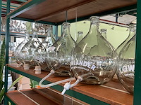 Glazen gistingsflessen (10x) - afbeelding 3 van  3