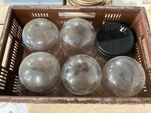 Glazen stolp ø 17 cm (5x) - afbeelding 1 van  1