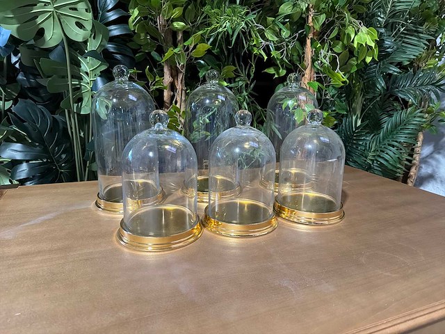 Glazen stolp met aluminium bodem (6x) - afbeelding 1 van  3