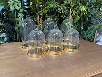 Glazen stolp met aluminium bodem (6x) - afbeelding 1 van  3