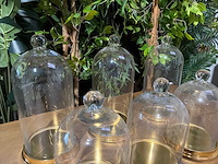 Glazen stolp met aluminium bodem (6x) - afbeelding 3 van  3