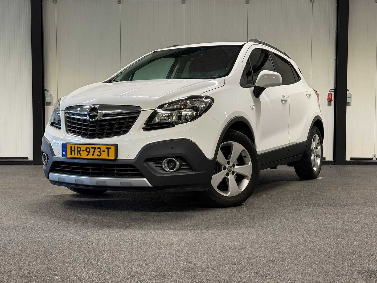Globe car auctions budget plus dealeroccasions, personen en bedrijfswagens