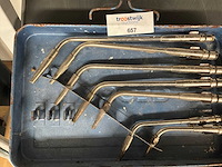 Gloor lastoortsen - afbeelding 3 van  3
