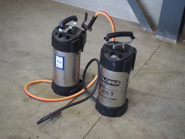 Gloria - afbeelding 2 van  6