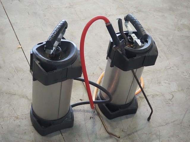 Gloria - afbeelding 3 van  6