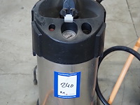 Gloria - afbeelding 4 van  6