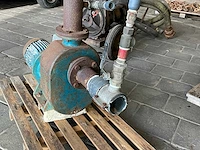 Goan pompen da waterpomp - afbeelding 4 van  4