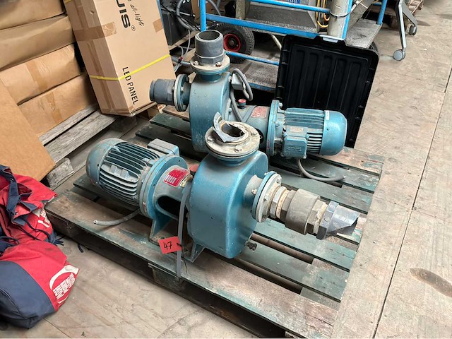 Goan waterpomp (2x) - afbeelding 1 van  6