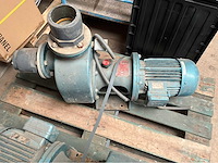 Goan waterpomp (2x) - afbeelding 2 van  6