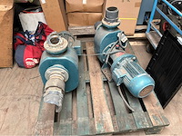 Goan waterpomp (2x) - afbeelding 4 van  6