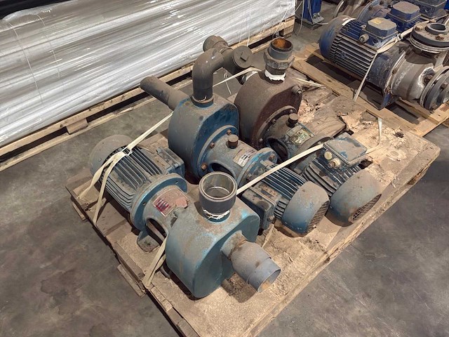 Goan waterpomp (3x) - afbeelding 1 van  6