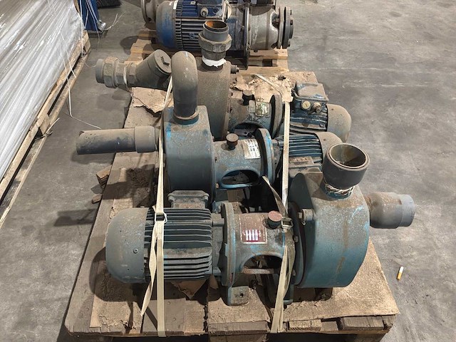 Goan waterpomp (3x) - afbeelding 2 van  6