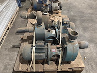 Goan waterpomp (3x) - afbeelding 2 van  6