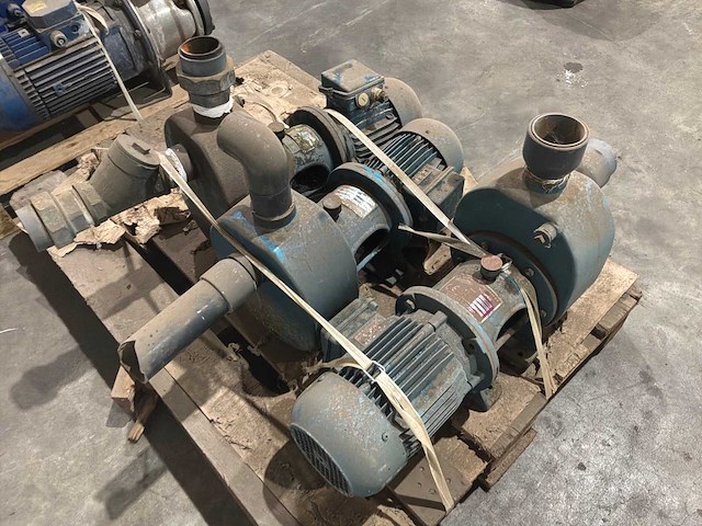 Goan waterpomp (3x) - afbeelding 3 van  6