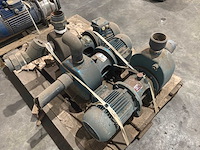 Goan waterpomp (3x) - afbeelding 3 van  6