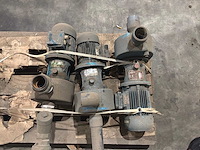 Goan waterpomp (3x) - afbeelding 5 van  6