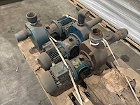 Goan waterpomp (3x) - afbeelding 6 van  6