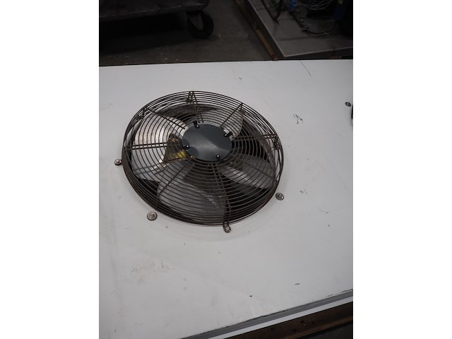 Goedhart bohemia - afbeelding 8 van  10