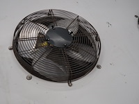 Goedhart bohemia - afbeelding 8 van  10