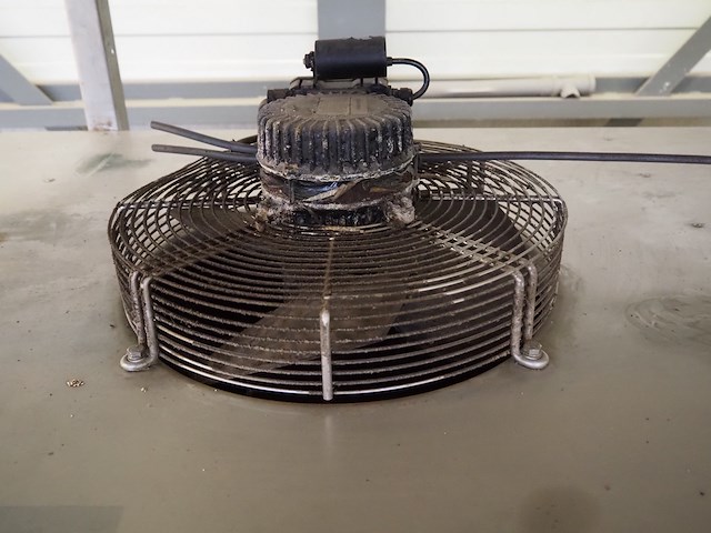 Goedhart - afbeelding 14 van  14