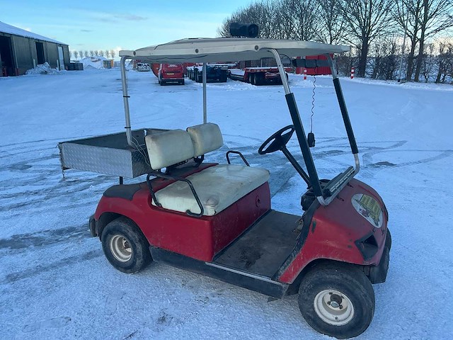 Golfkar - afbeelding 25 van  27