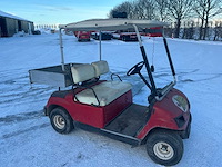 Golfkar - afbeelding 25 van  27