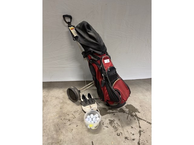Golftas met clubs, met diverse toebehoren - afbeelding 1 van  10