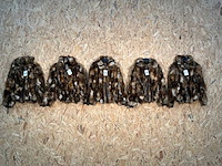 Goose-craft wintermantel (5x) - afbeelding 10 van  14