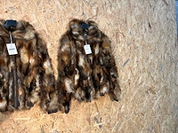 Goose-craft wintermantel (5x) - afbeelding 4 van  14