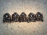 Goose-craft wintermantel (5x) - afbeelding 6 van  13