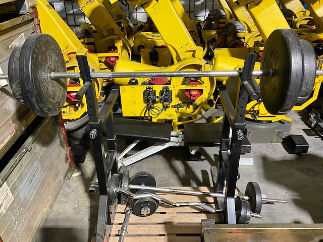 Gorilla sport gewichten & verstelbare bankbank - afbeelding 3 van  5