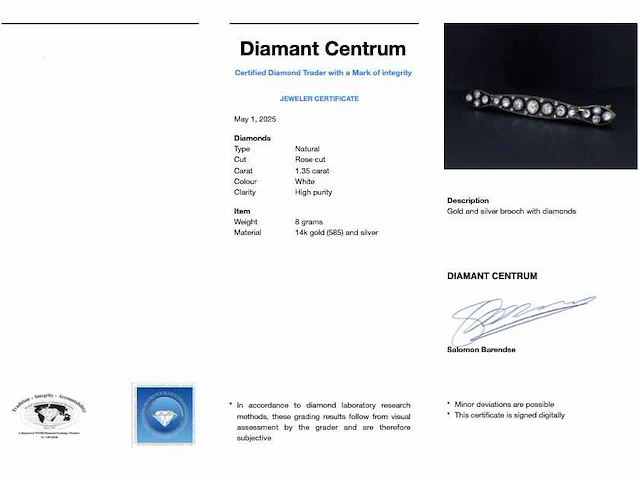 Goud zilveren broche diamant - afbeelding 5 van  5
