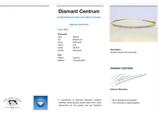 Gouden bangle armband met natuurlijke briljant geslepen diamanten - afbeelding 3 van  9