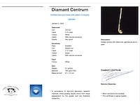 Gouden broche diamanten edelstenen - afbeelding 3 van  6