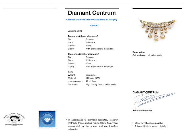 Gouden broche met diamanten - afbeelding 3 van  6
