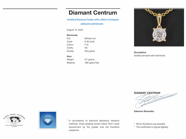 Gouden entourage hanger briljant - afbeelding 6 van  7