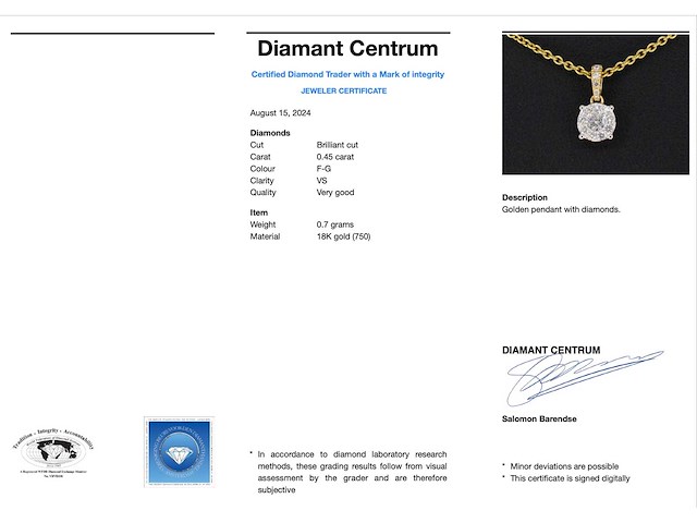 Gouden entourage hanger met briljant geslepen diamanten - afbeelding 3 van  5
