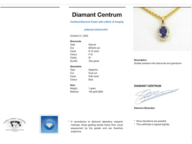 Gouden entourage hanger met diamanten en saffier - afbeelding 3 van  7