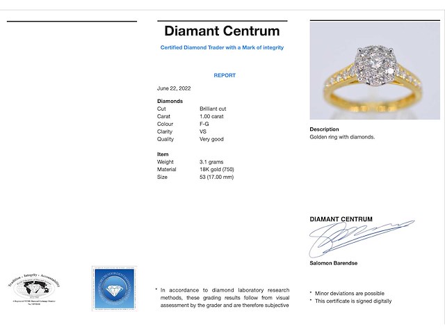 Gouden entourage ring met briljant geslepen diamanten 1.00 carat - afbeelding 3 van  7
