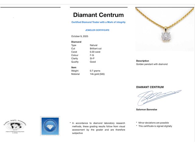 Gouden hanger met diamanten - afbeelding 3 van  8