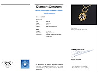 Gouden hanger (the order of agricultural merit 1883) met diamant - afbeelding 3 van  6