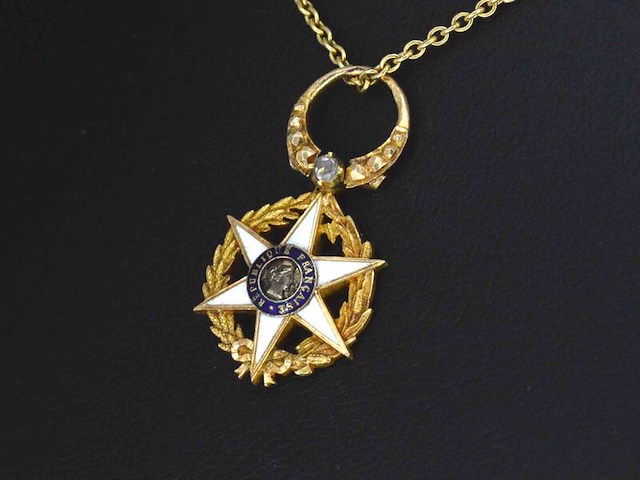 Gouden hanger (the order of agricultural merit 1883) met diamant - afbeelding 1 van  7