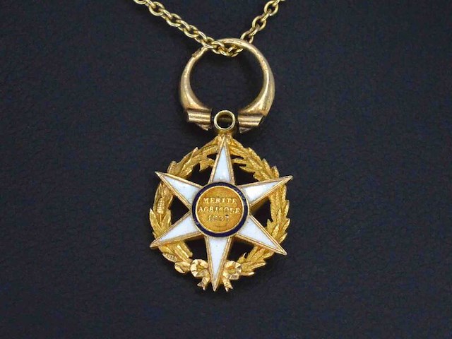 Gouden hanger (the order of agricultural merit 1883) met diamant - afbeelding 3 van  7
