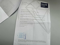 Gouden medallion - afbeelding 9 van  9