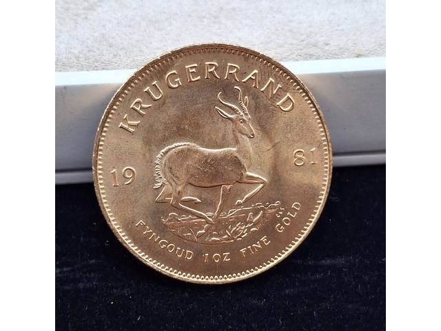 Gouden munt, south africa, krugerrand, 1981 - afbeelding 1 van  4