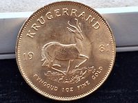 Gouden munt, south africa, krugerrand, 1981 - afbeelding 1 van  4