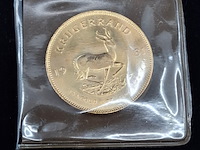 Gouden munt, south africa, krugerrand, 1981 - afbeelding 3 van  4