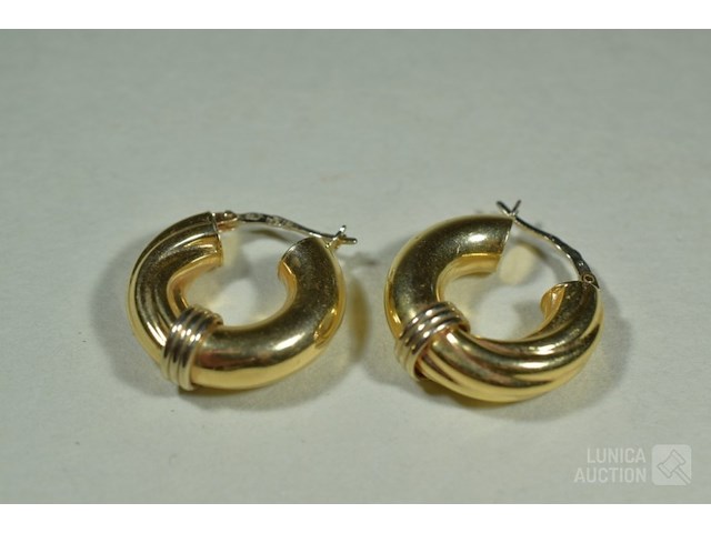 Gouden oorstekers - afbeelding 1 van  4