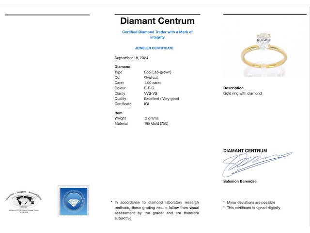 Gouden ovaal solitair ring met diamant 1.00 carat - afbeelding 3 van  10