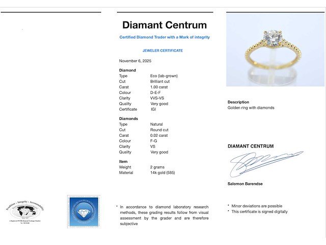 Gouden ring met een diamant van 1.00 carat - afbeelding 4 van  10